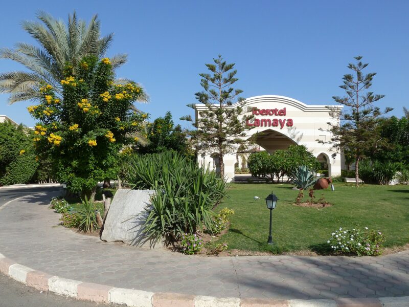 جاز لمايا ريزورت – JAZ Lamaya Resort