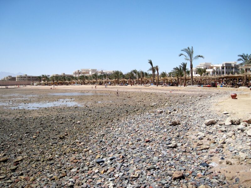بيك ألباتروس بالاس أكوا بارك الغردقة – Pickalbatros Palace – Aqua Park Hurghada — صورة 4